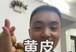 蔡振昊视频吃瓜网,揭秘娱乐圈幕后故事