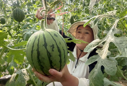 邳州网红吃小瓜事件,引发网友热议与反思