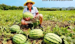 吃瓜网三条线路,三条神秘线路背后的惊天秘密