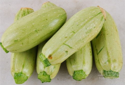 山东吃生瓜的网红,传统美食新潮流