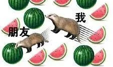 网课吃瓜微信头像,头像背后的趣味人生