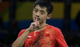 网红吃瓜张继科的瓜是什么,一场关于体育明星的瓜界风云