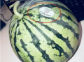 网红瓜去哪吃,瓜界美食地图大起底