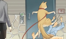和狗做漫画,漫画中的温馨犬伴故事