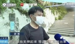 网红警察吃瓜,趣味互动引网友热议