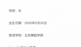 朝阳群众吃瓜网热点事件,吃瓜网最新热点事件深度解析