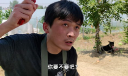 吃瓜网是真的,真相与谣言的交织之地