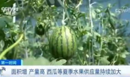 吃瓜群众岱岱 网盘,揭秘网络红人的秘密世界
